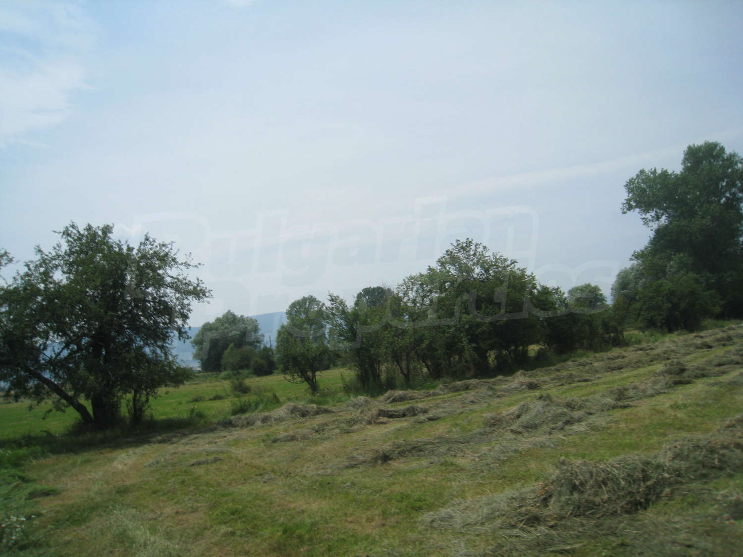 Gallery Picture 7