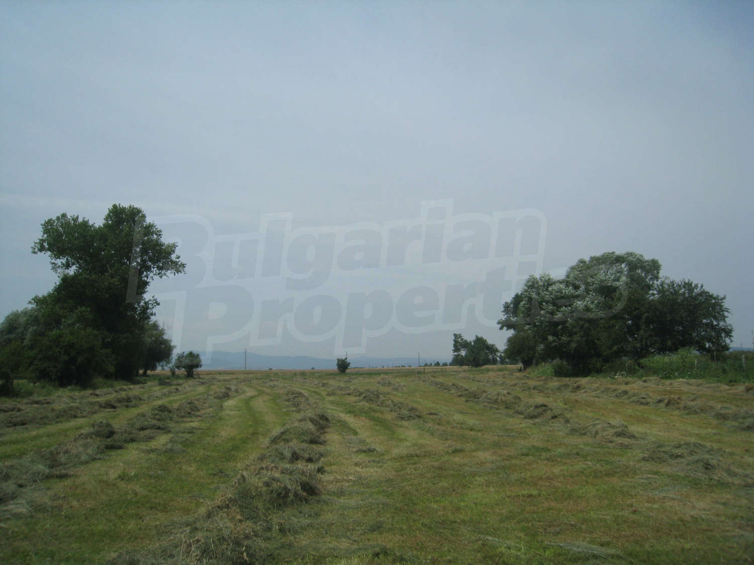 Gallery Picture 8