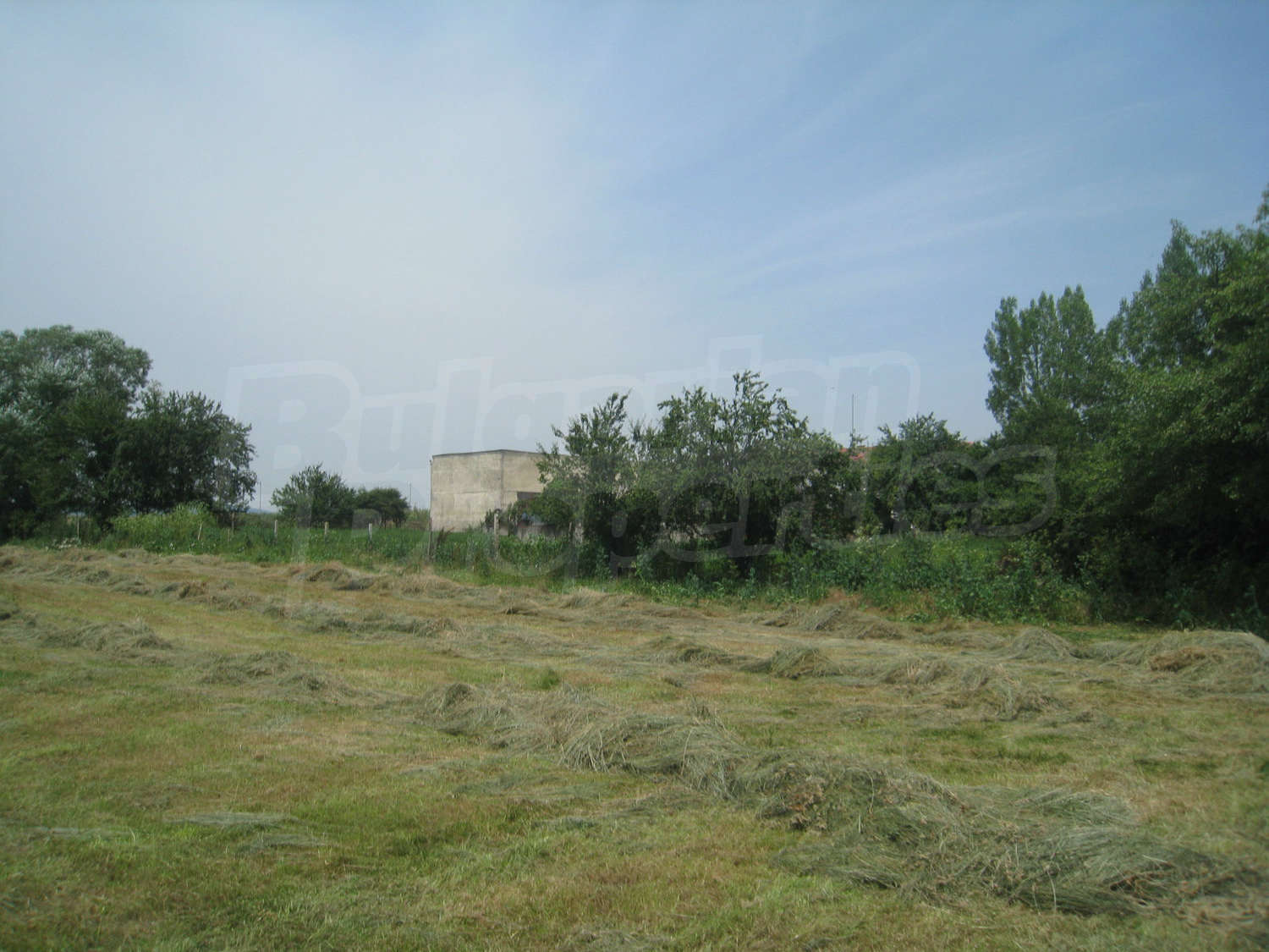 Gallery Picture 9