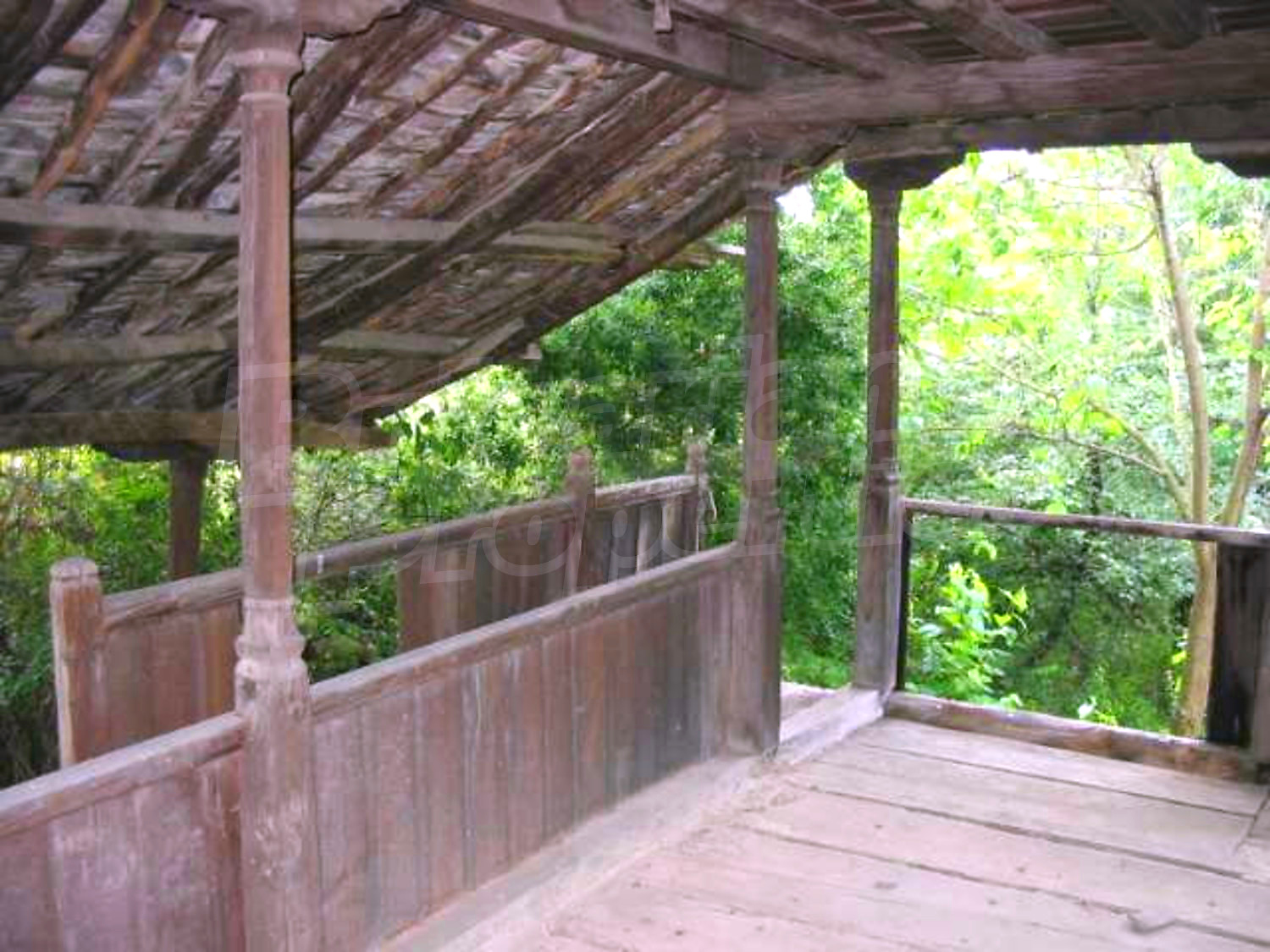 Gallery Picture 10
