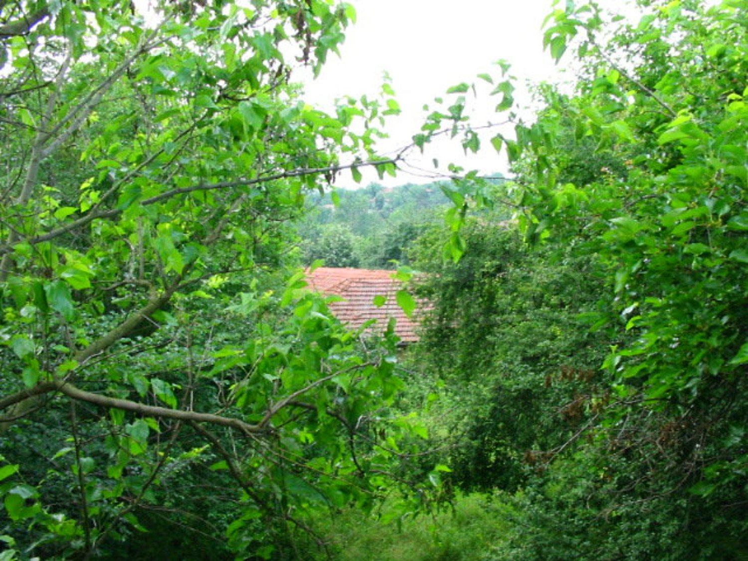 Gallery Picture 11