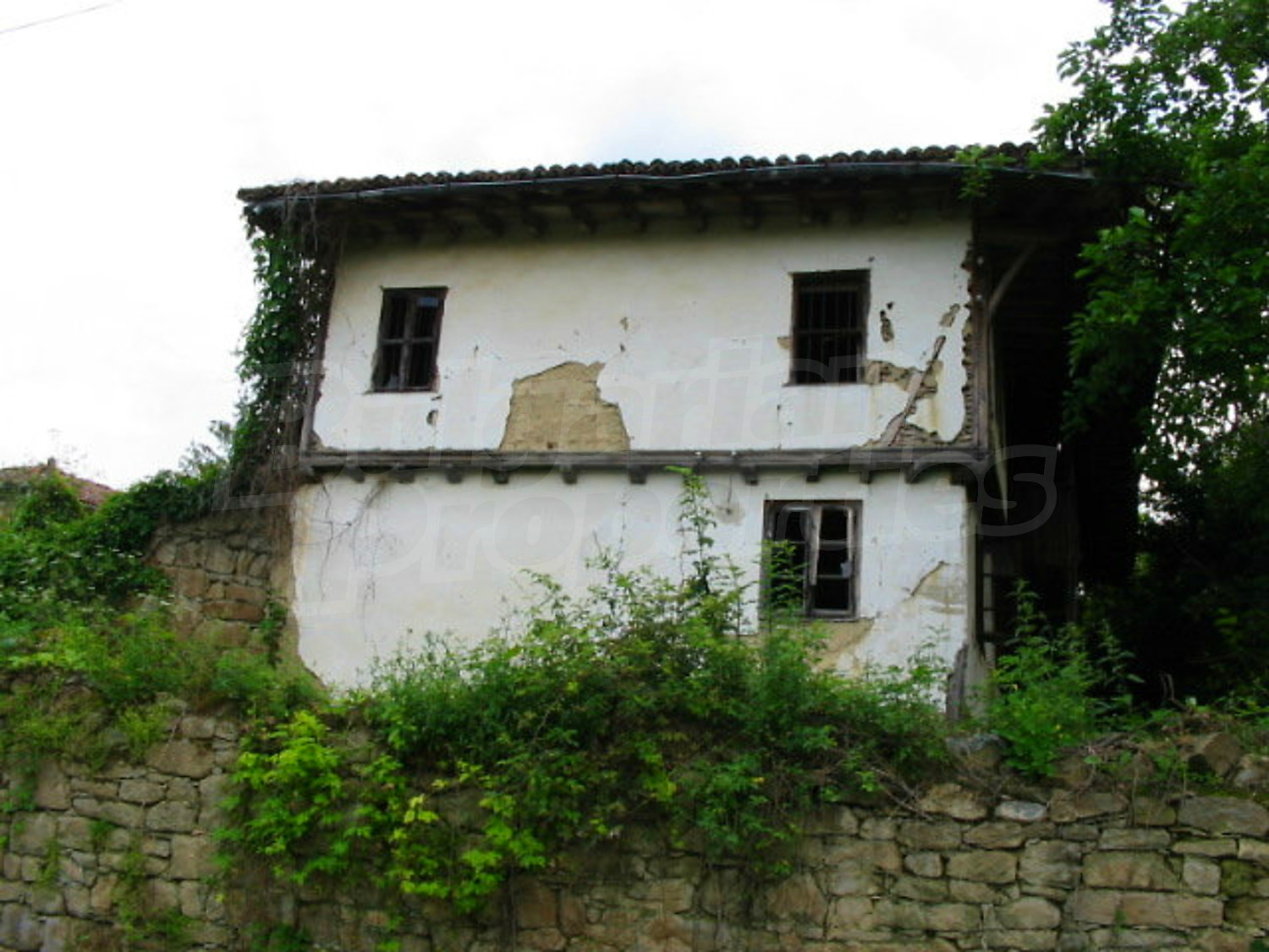 Gallery Picture 17