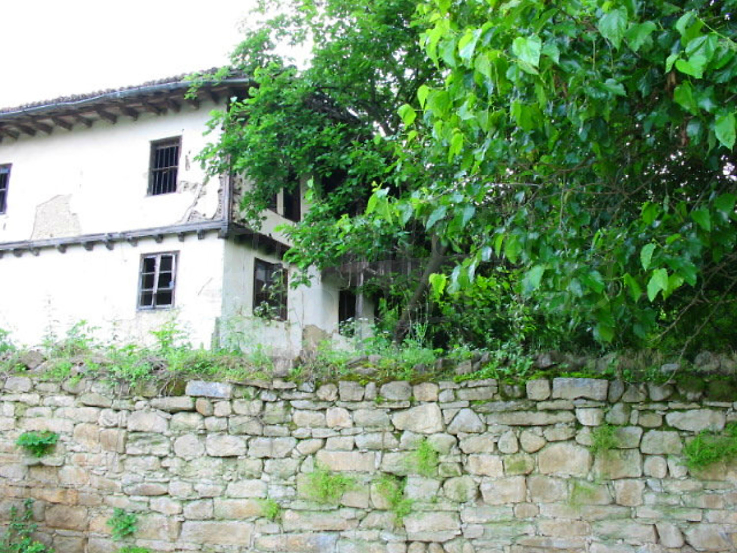 Gallery Picture 18