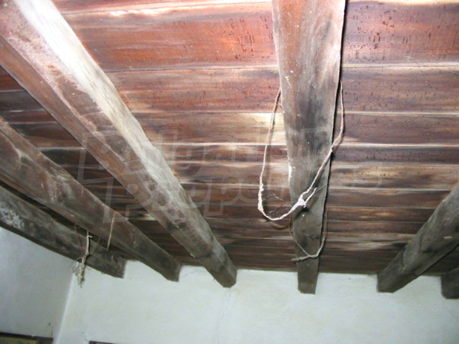 Gallery Picture 6