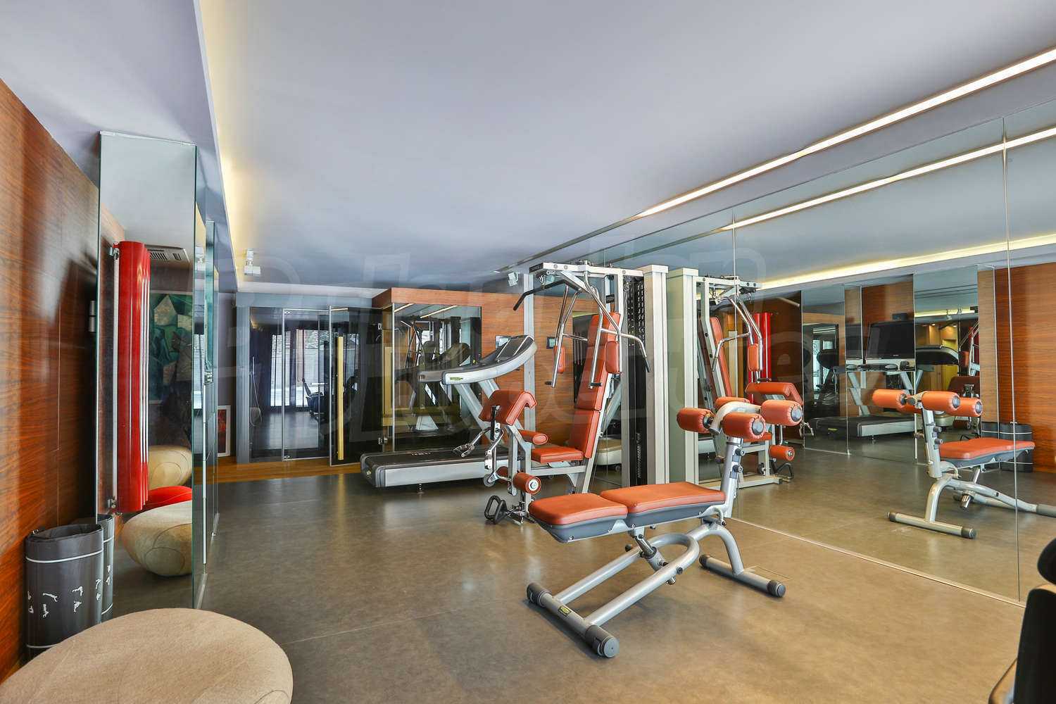 Gallery Picture 25