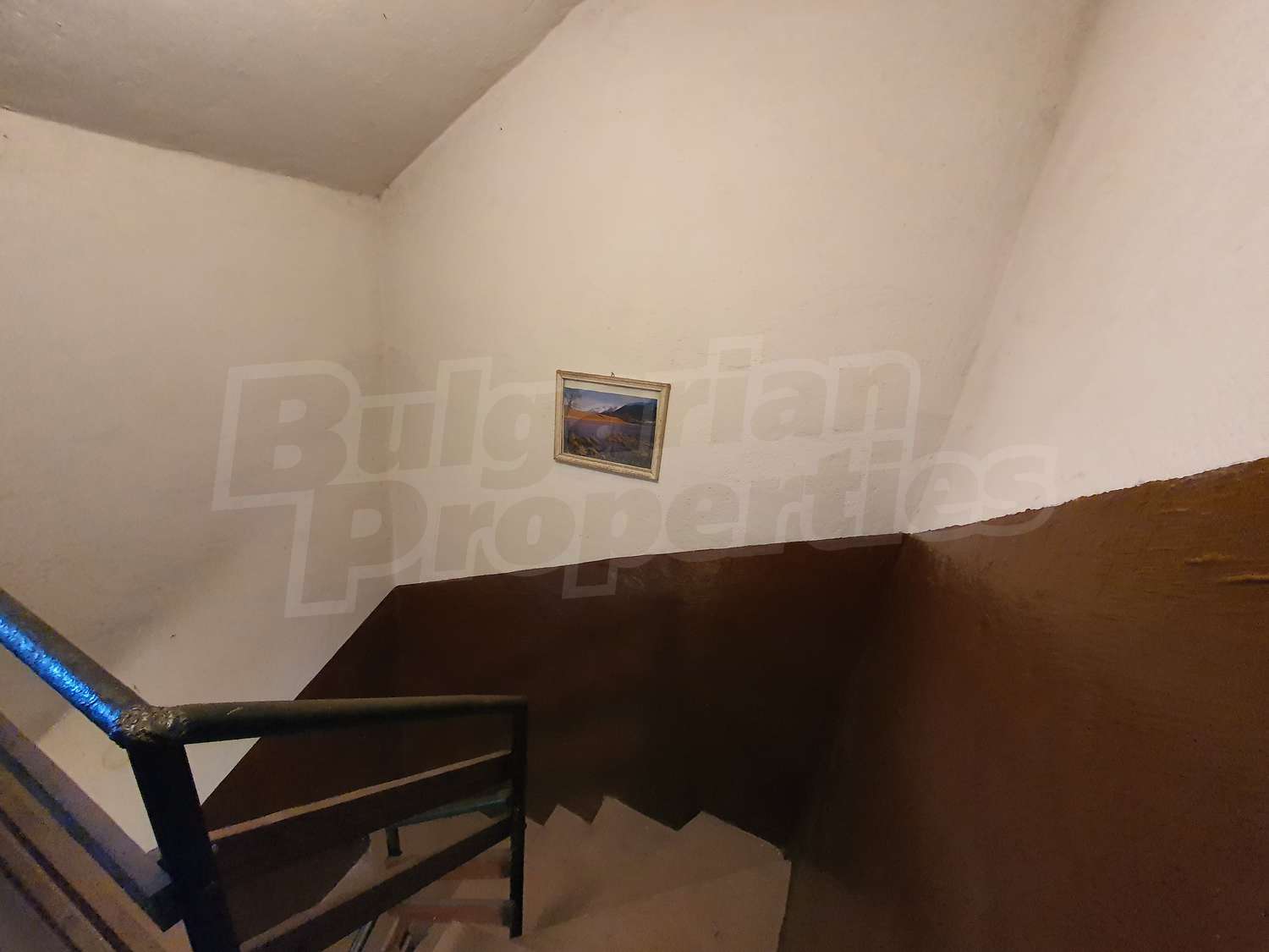 Gallery Picture 27