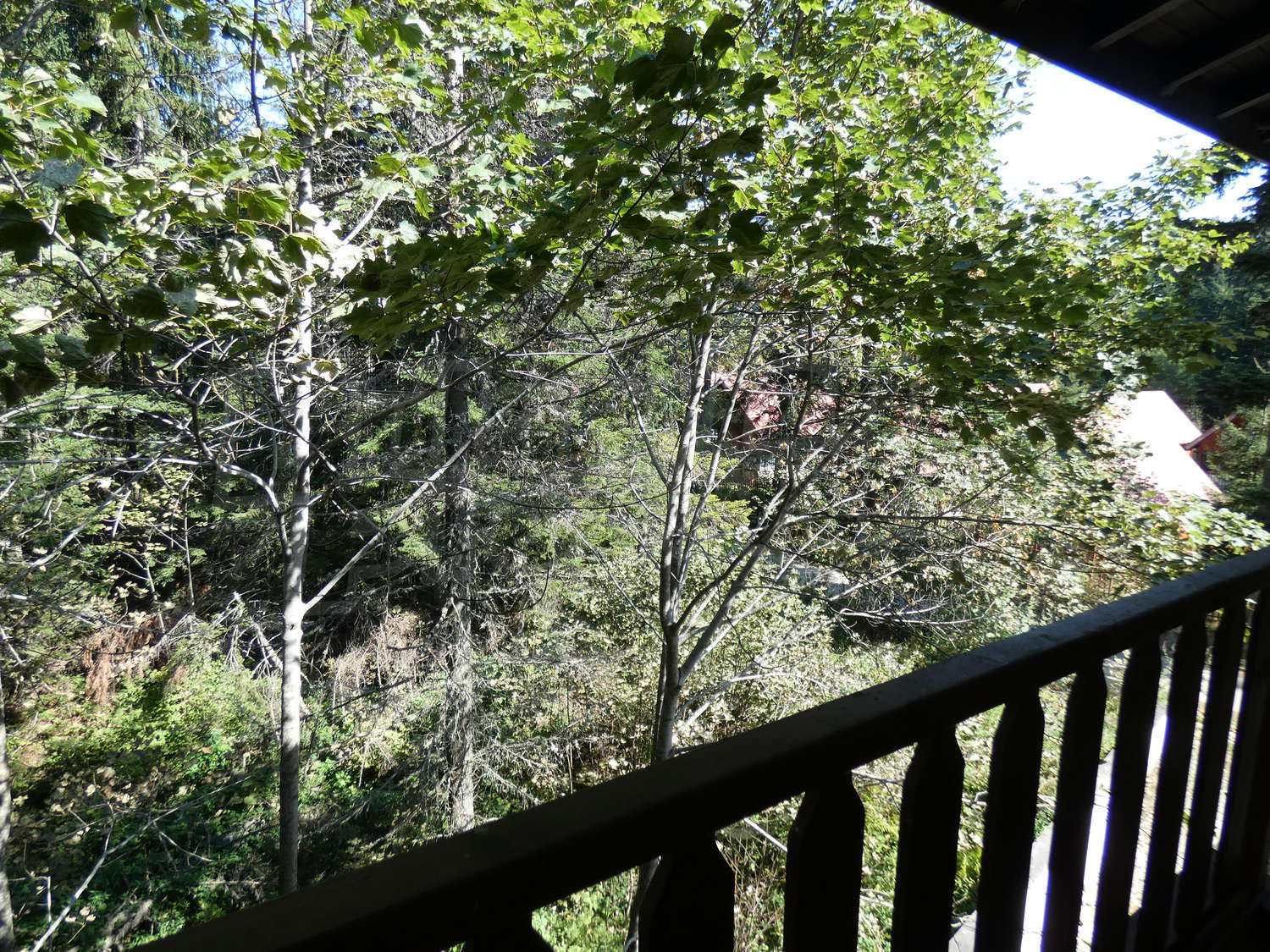 Gallery Picture 11
