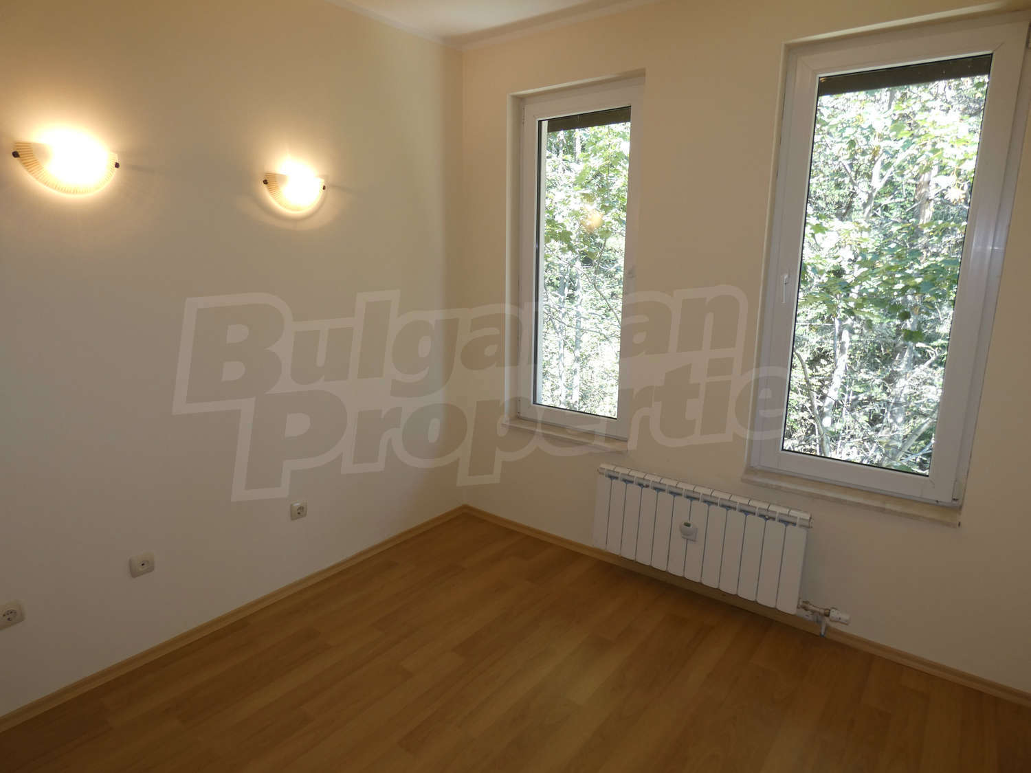 Gallery Picture 14