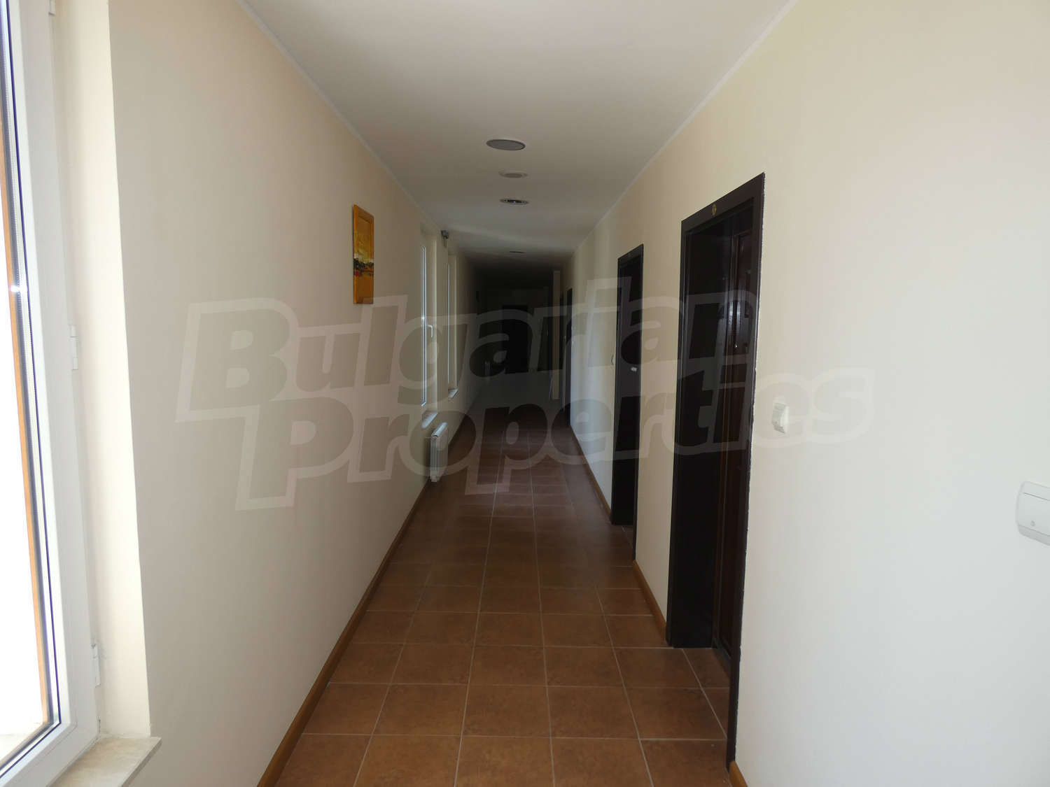 Gallery Picture 18