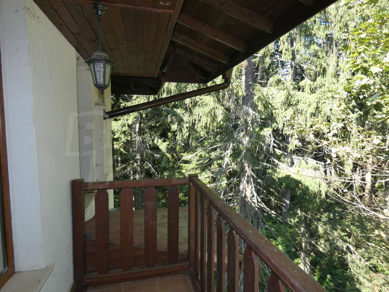 Gallery Picture 9