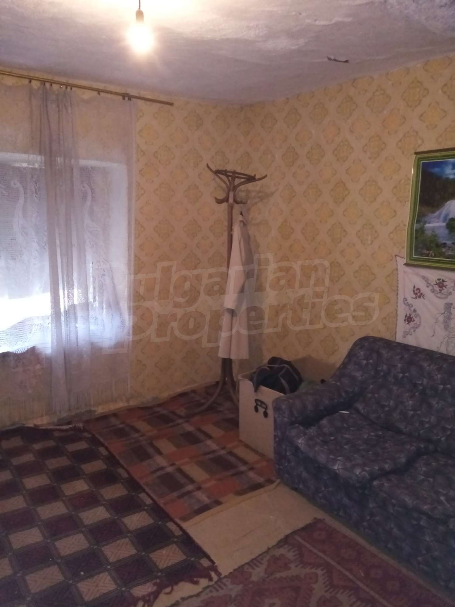 Gallery Picture 13
