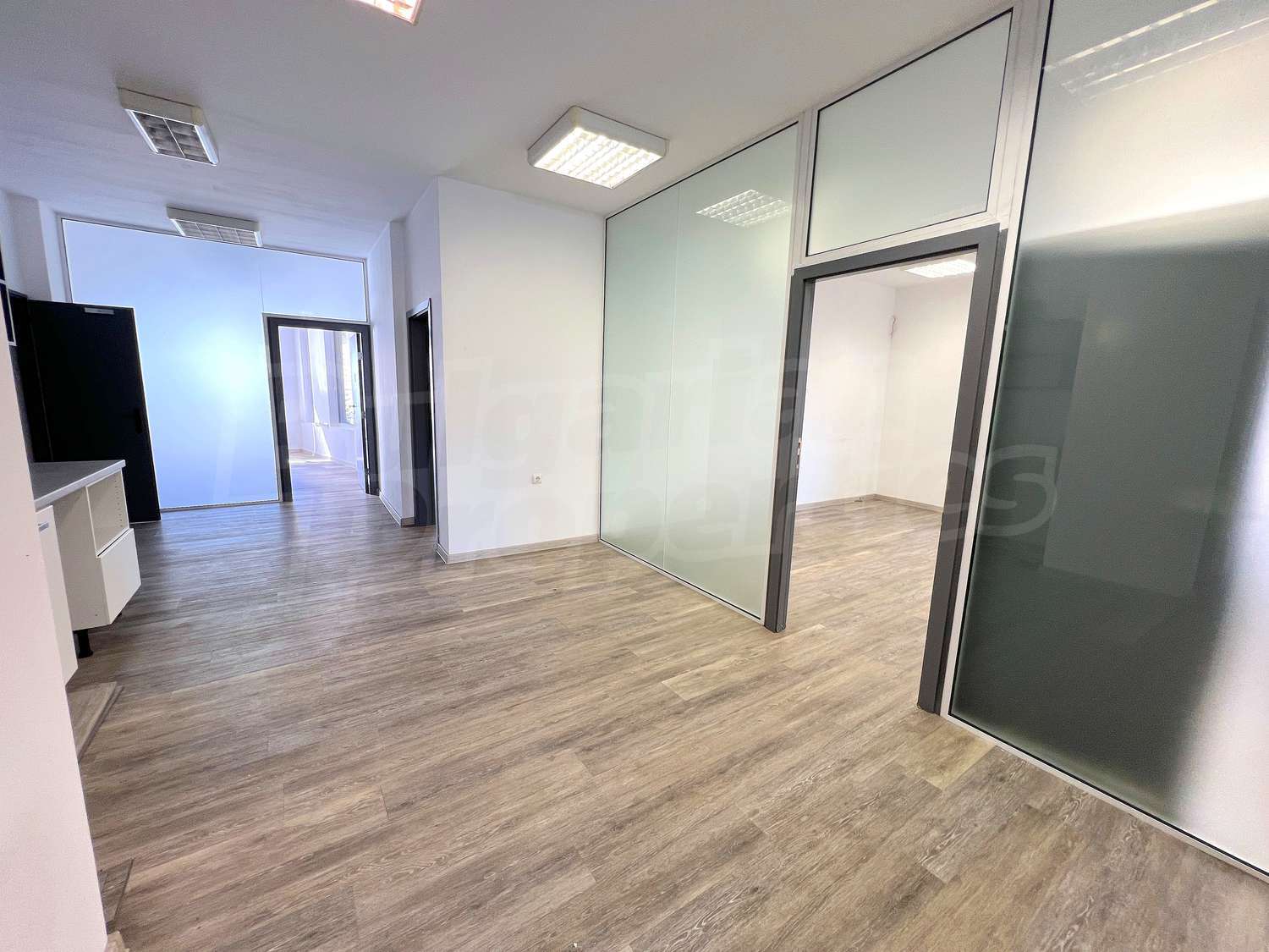 Gallery Picture 6