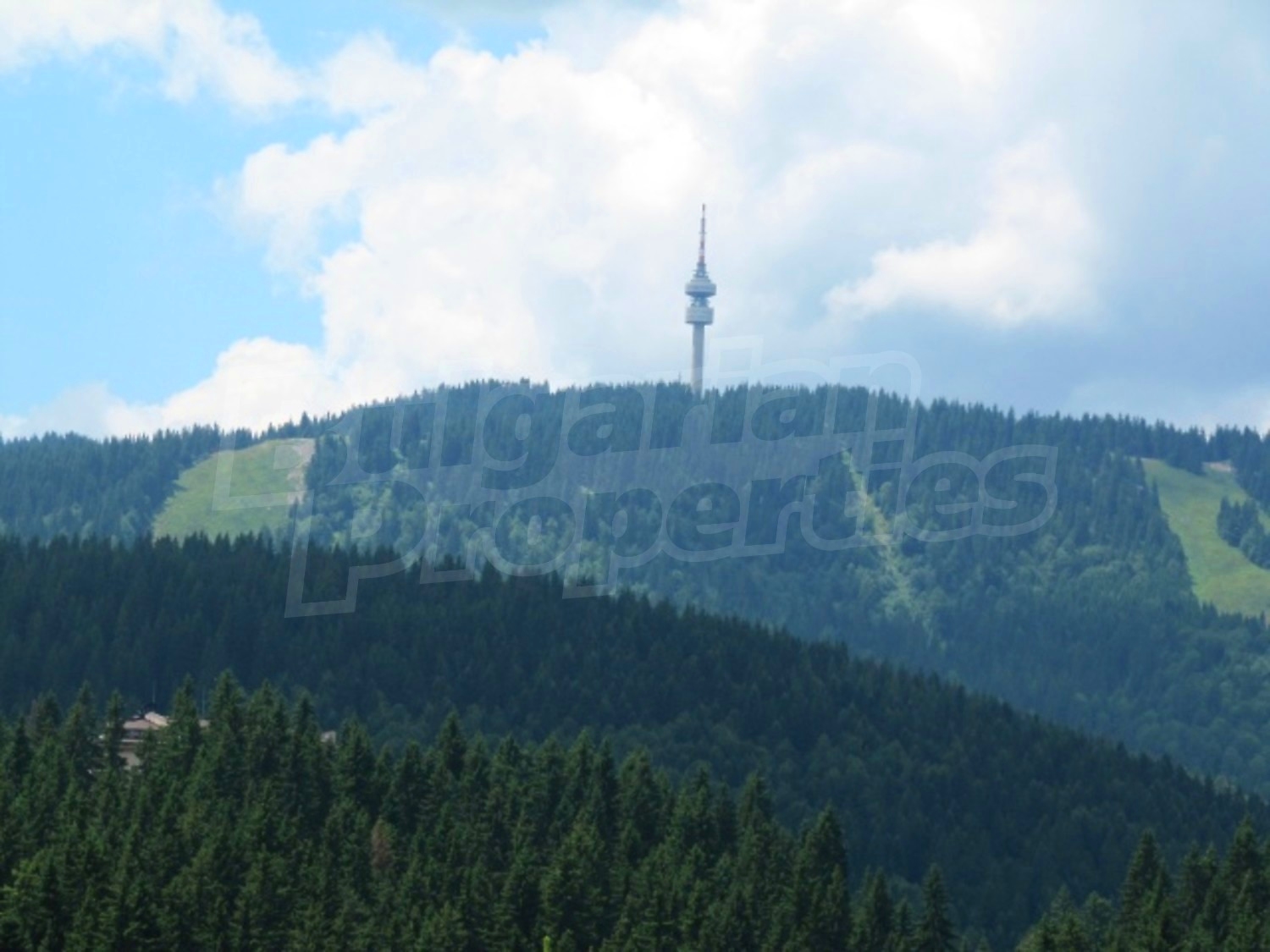 Gallery Picture 15