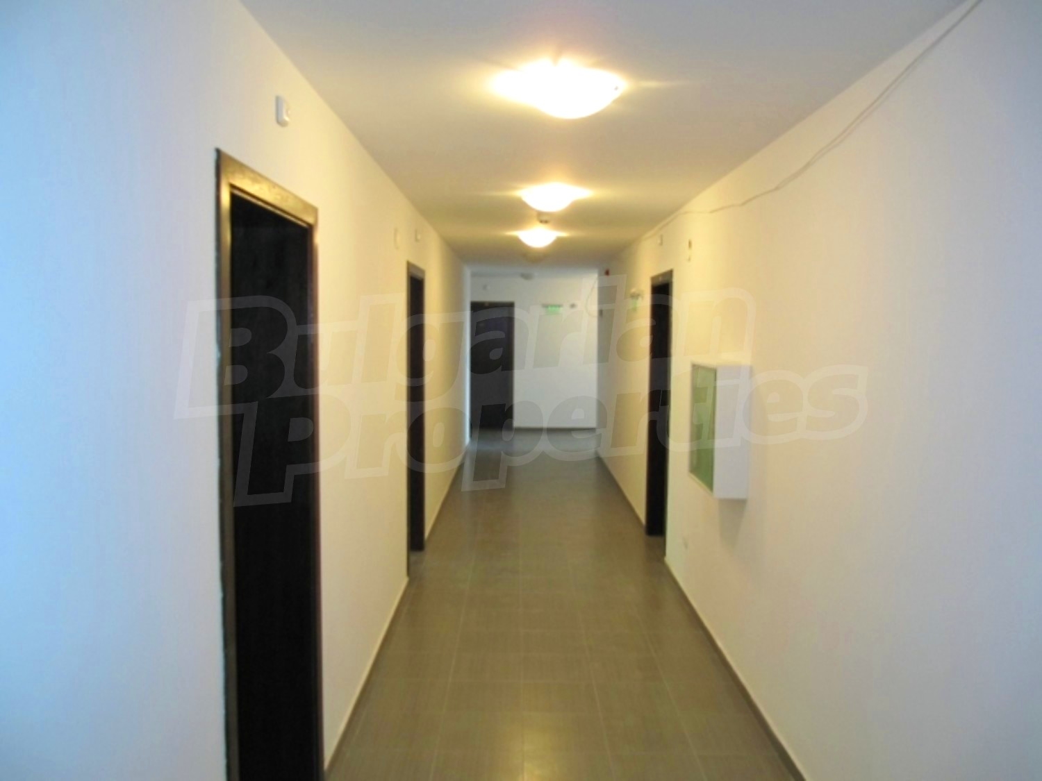 Gallery Picture 2
