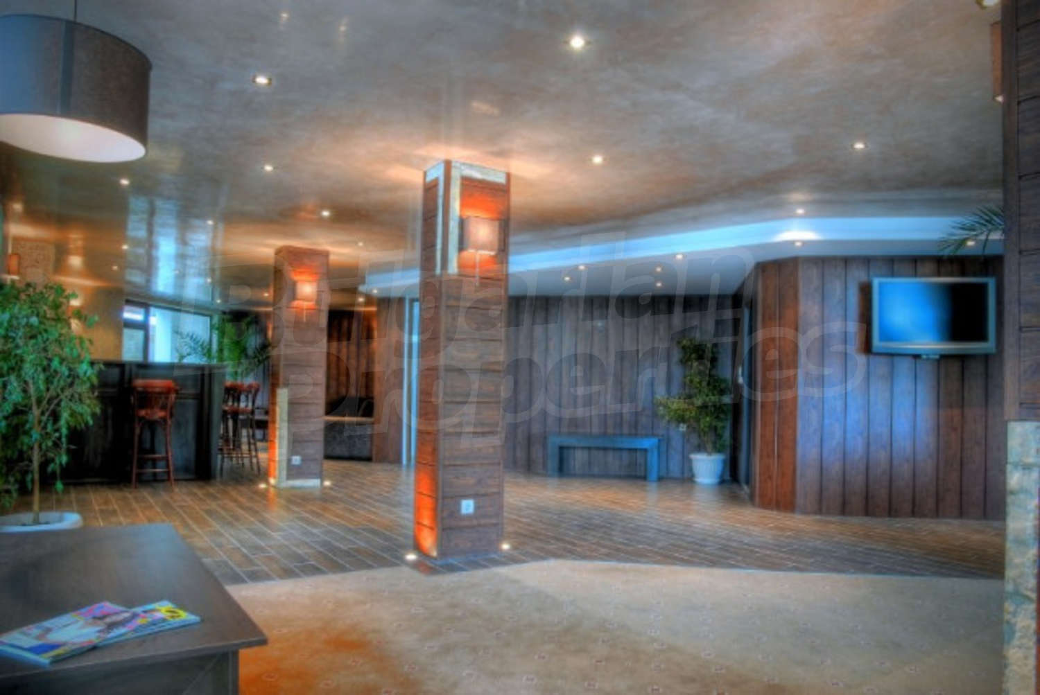 Gallery Picture 12