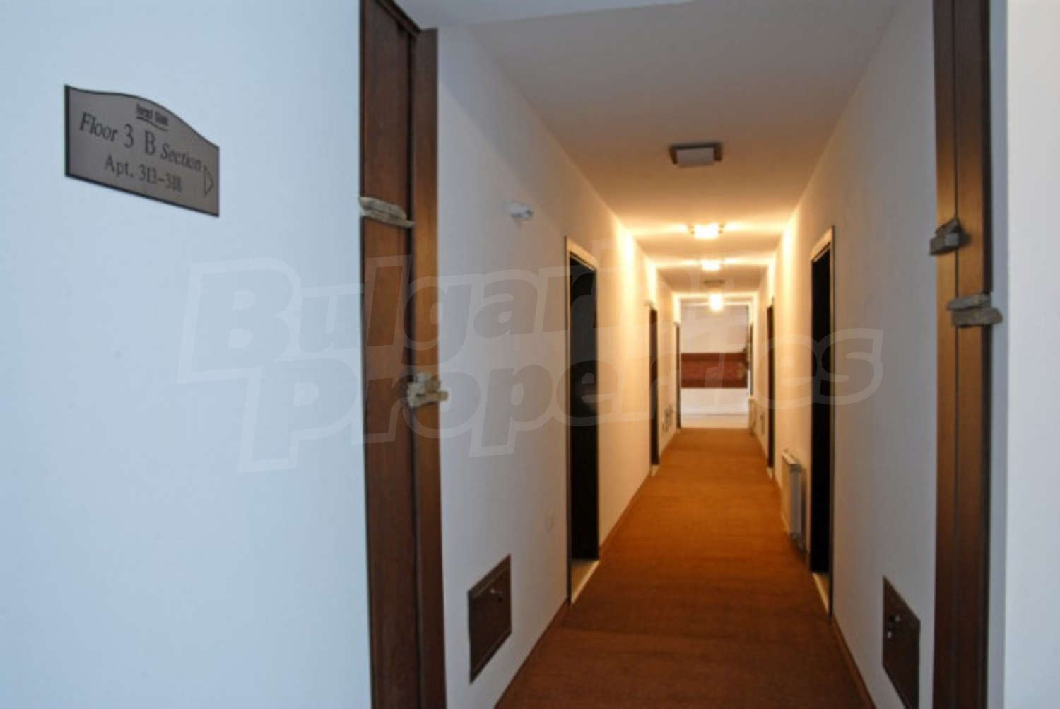 Gallery Picture 14