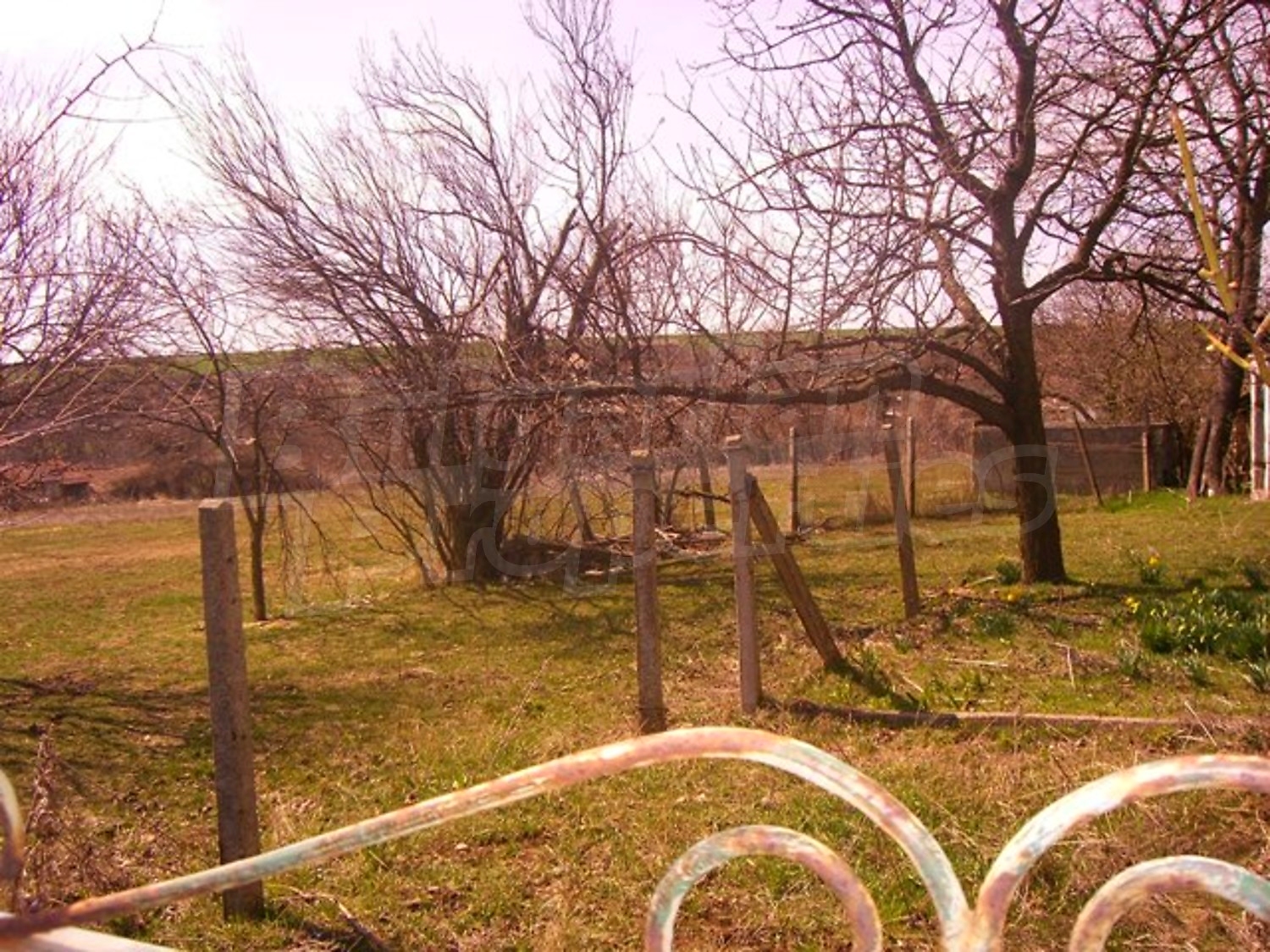 Gallery Picture 7