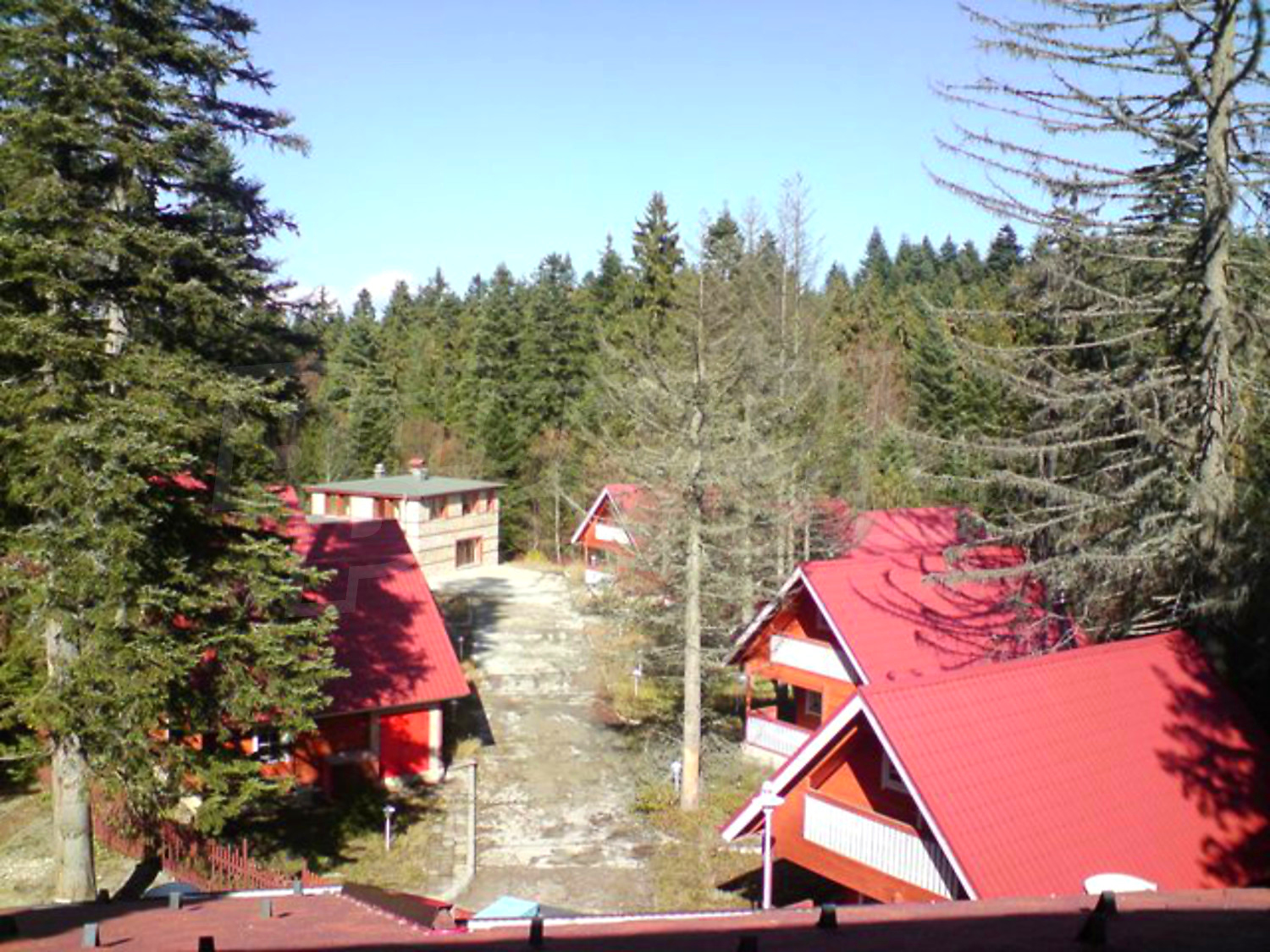 Gallery Picture 19