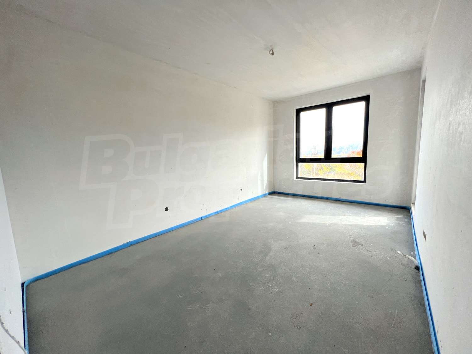 Gallery Picture 15