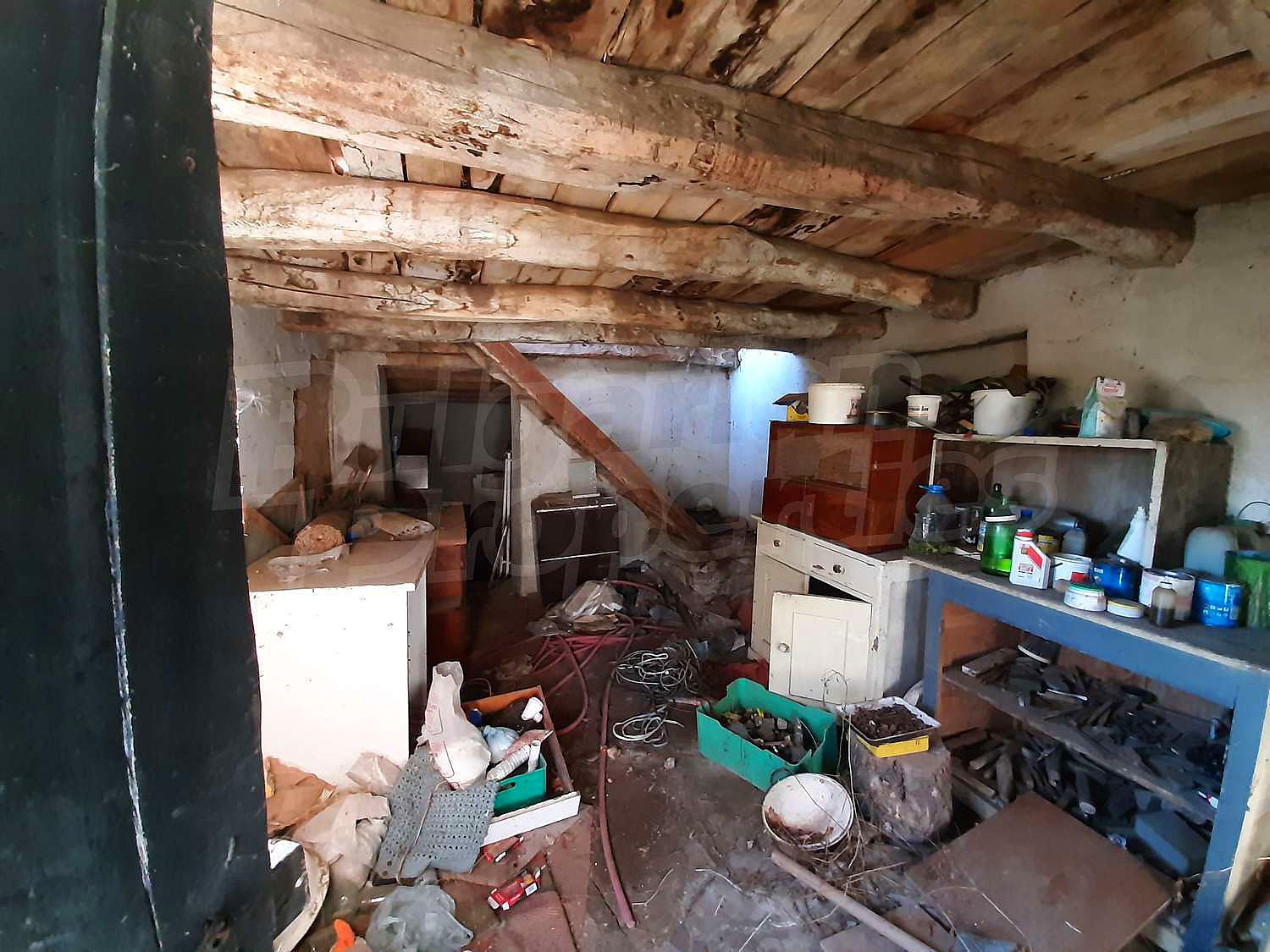 Gallery Picture 17