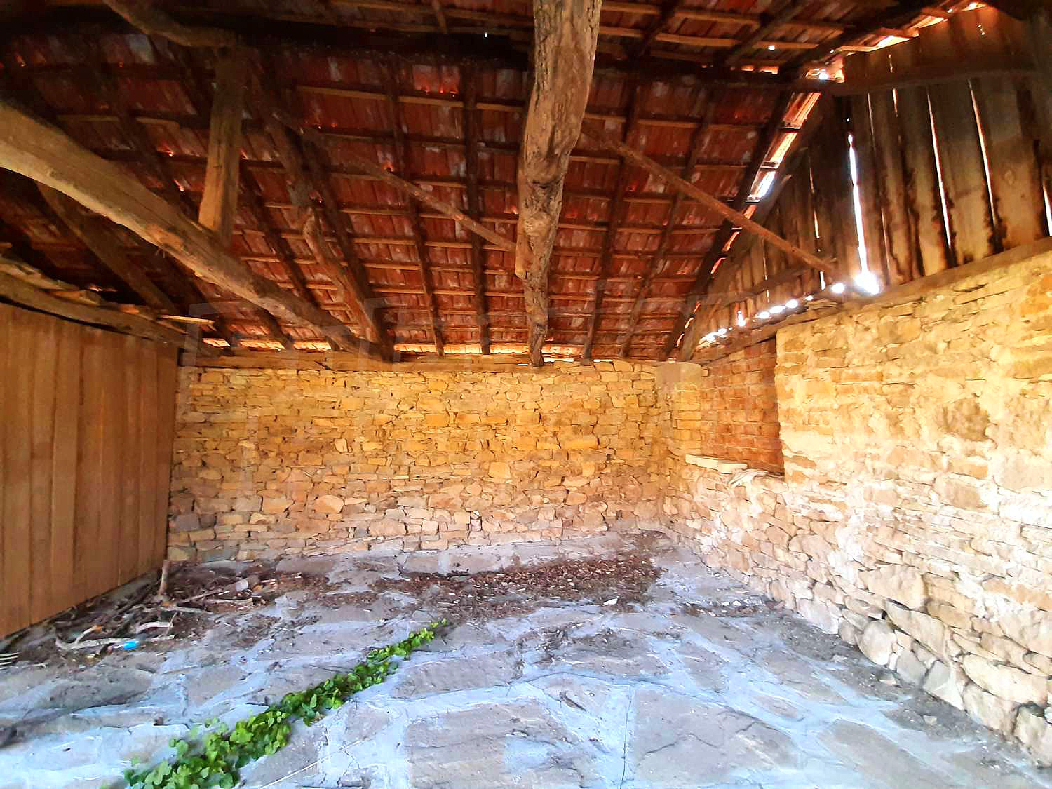 Gallery Picture 28