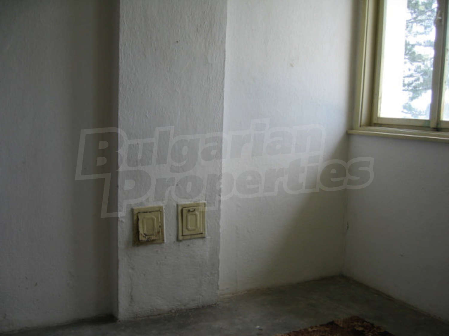 Gallery Picture 14