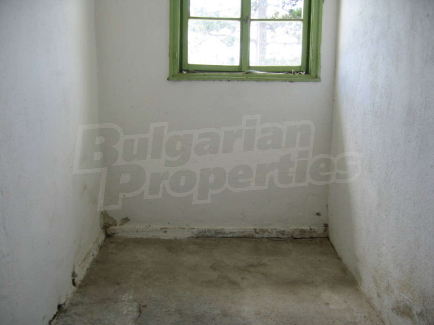 Gallery Picture 21