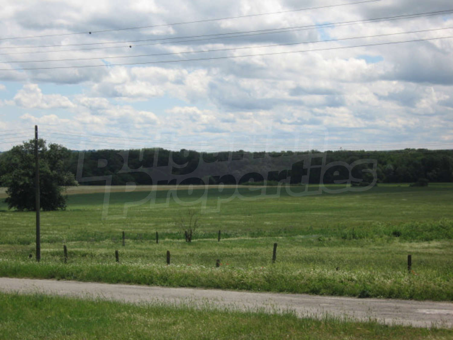 Gallery Picture 23