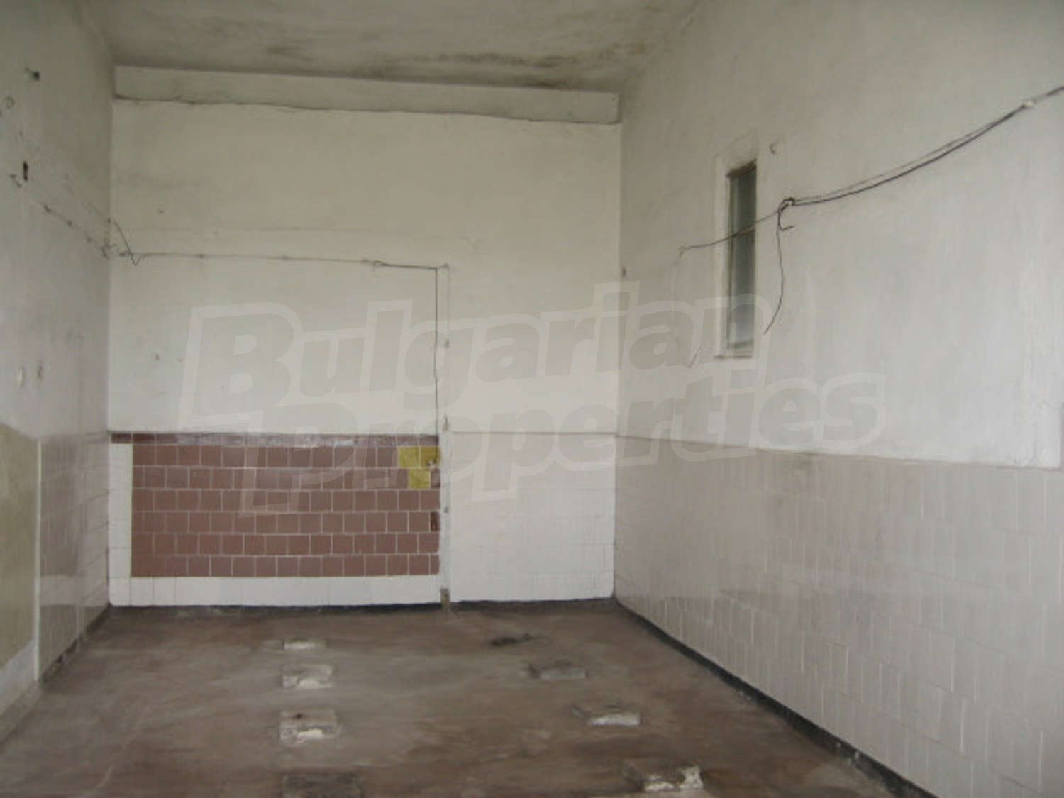 Gallery Picture 7