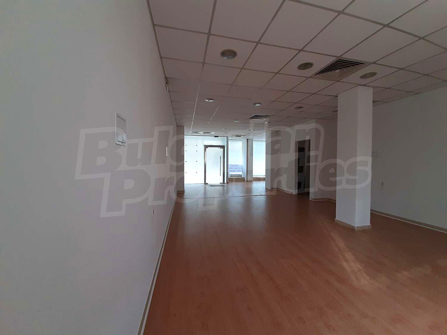Gallery Picture 10