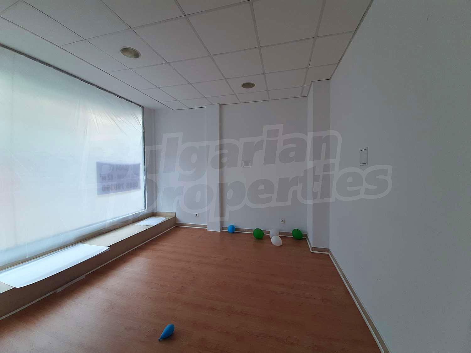 Gallery Picture 11