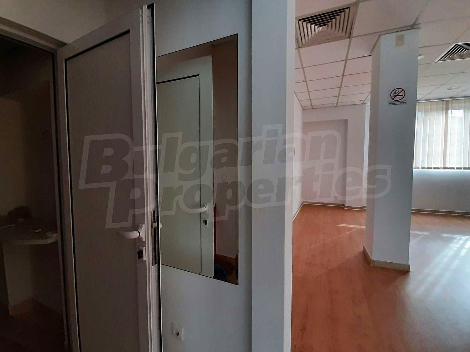 Gallery Picture 16