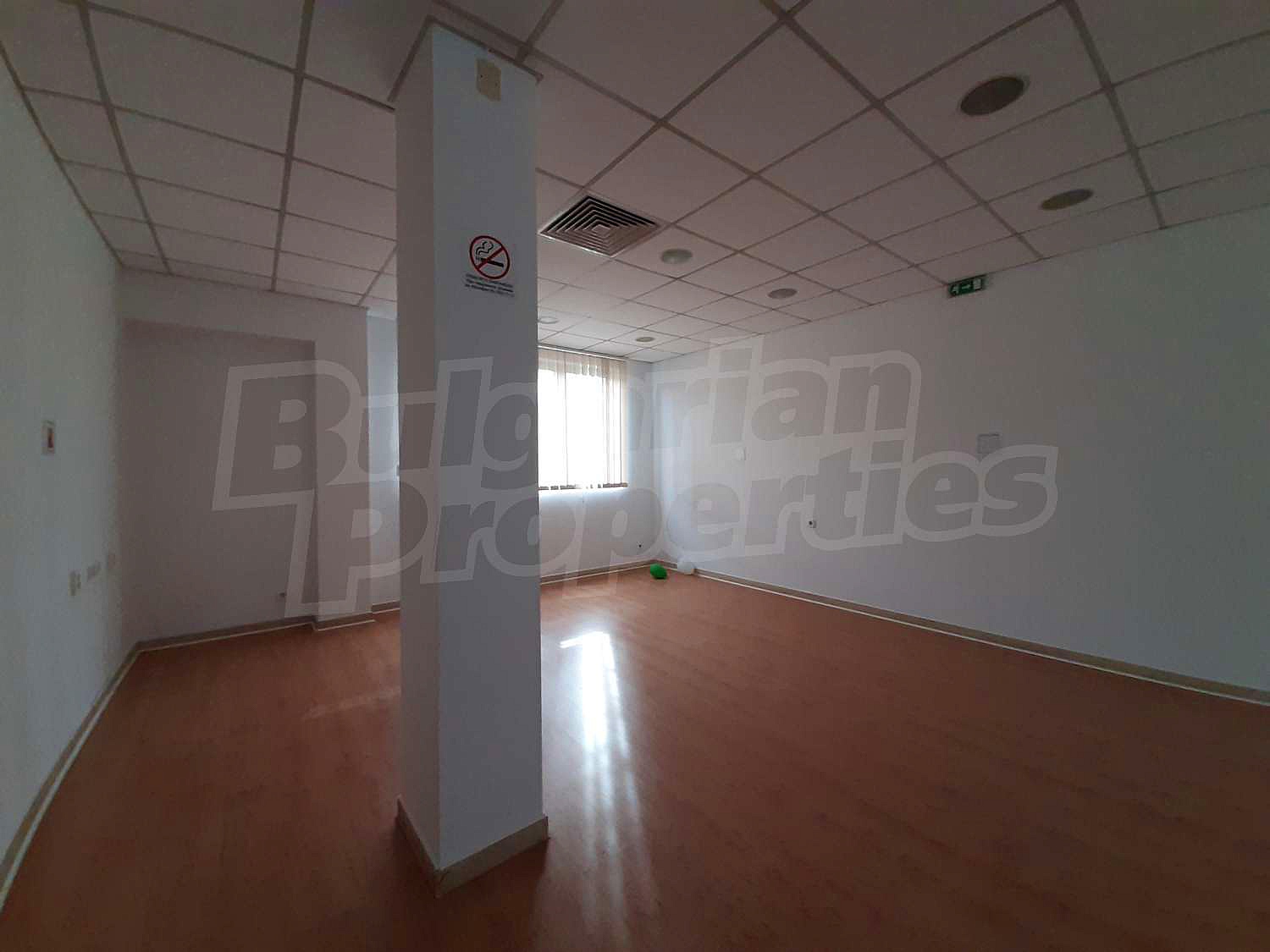 Gallery Picture 17