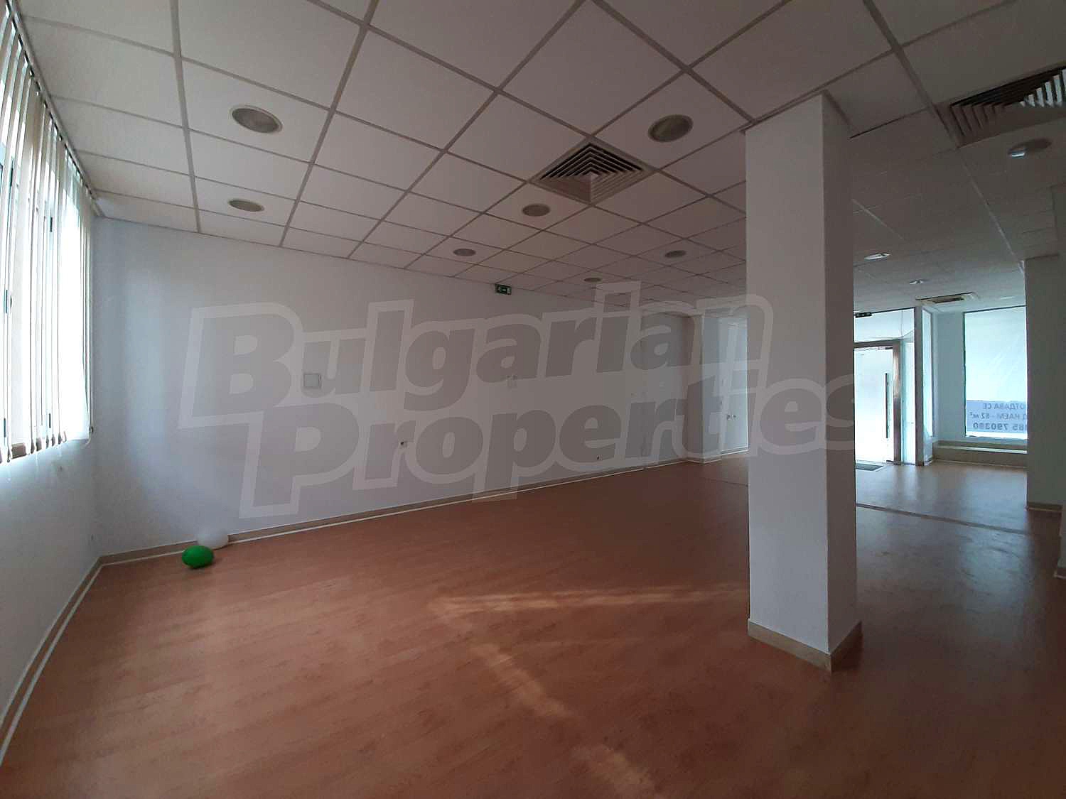 Gallery Picture 18