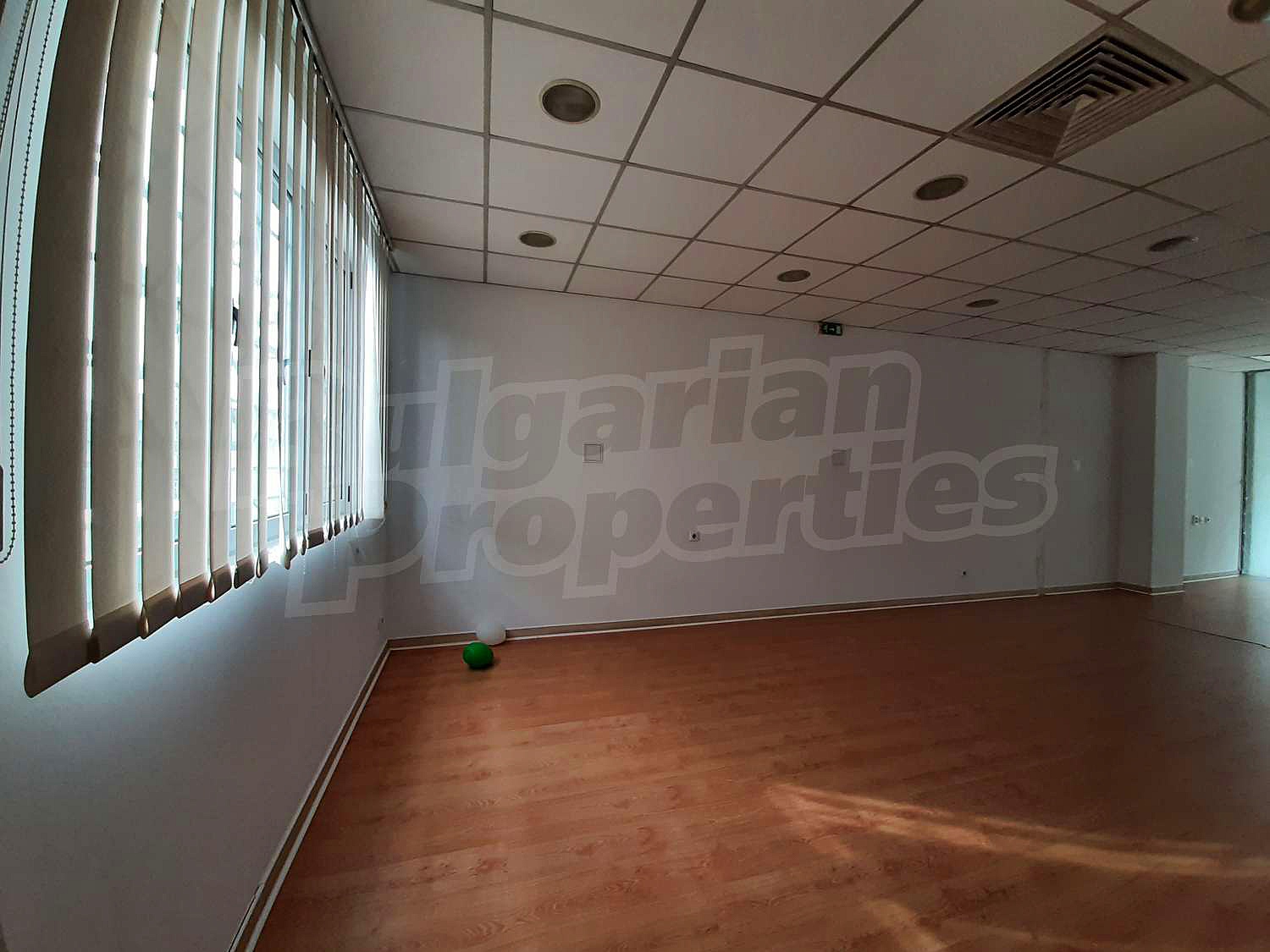 Gallery Picture 19