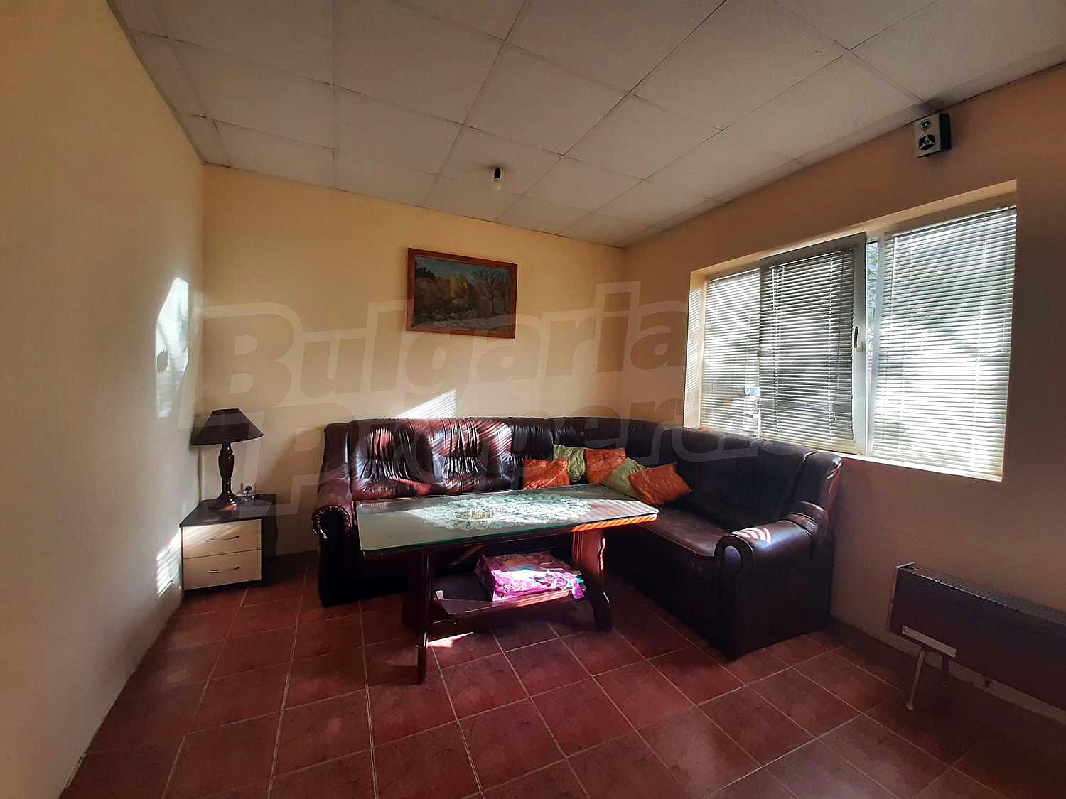 Gallery Picture 10