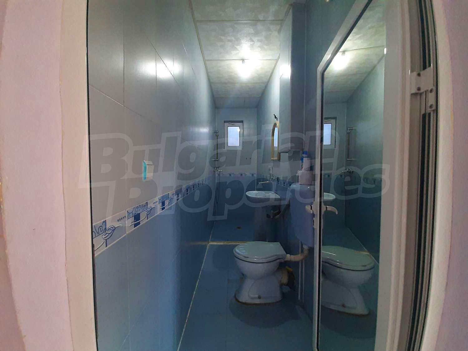Gallery Picture 12