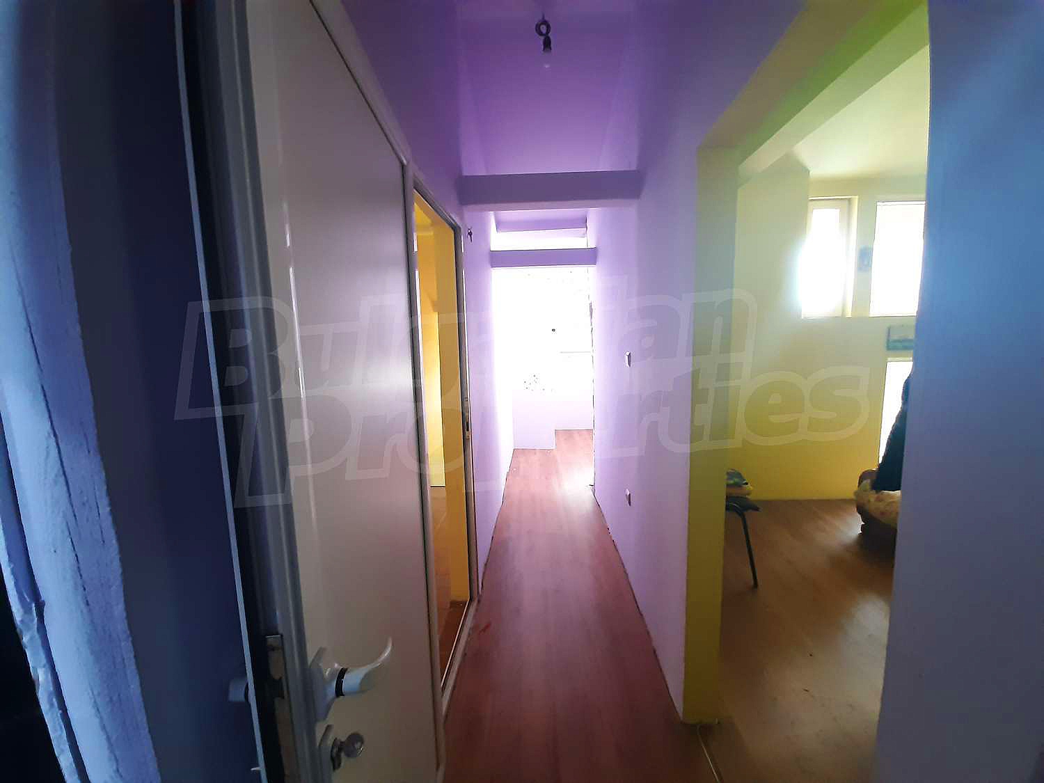 Gallery Picture 16