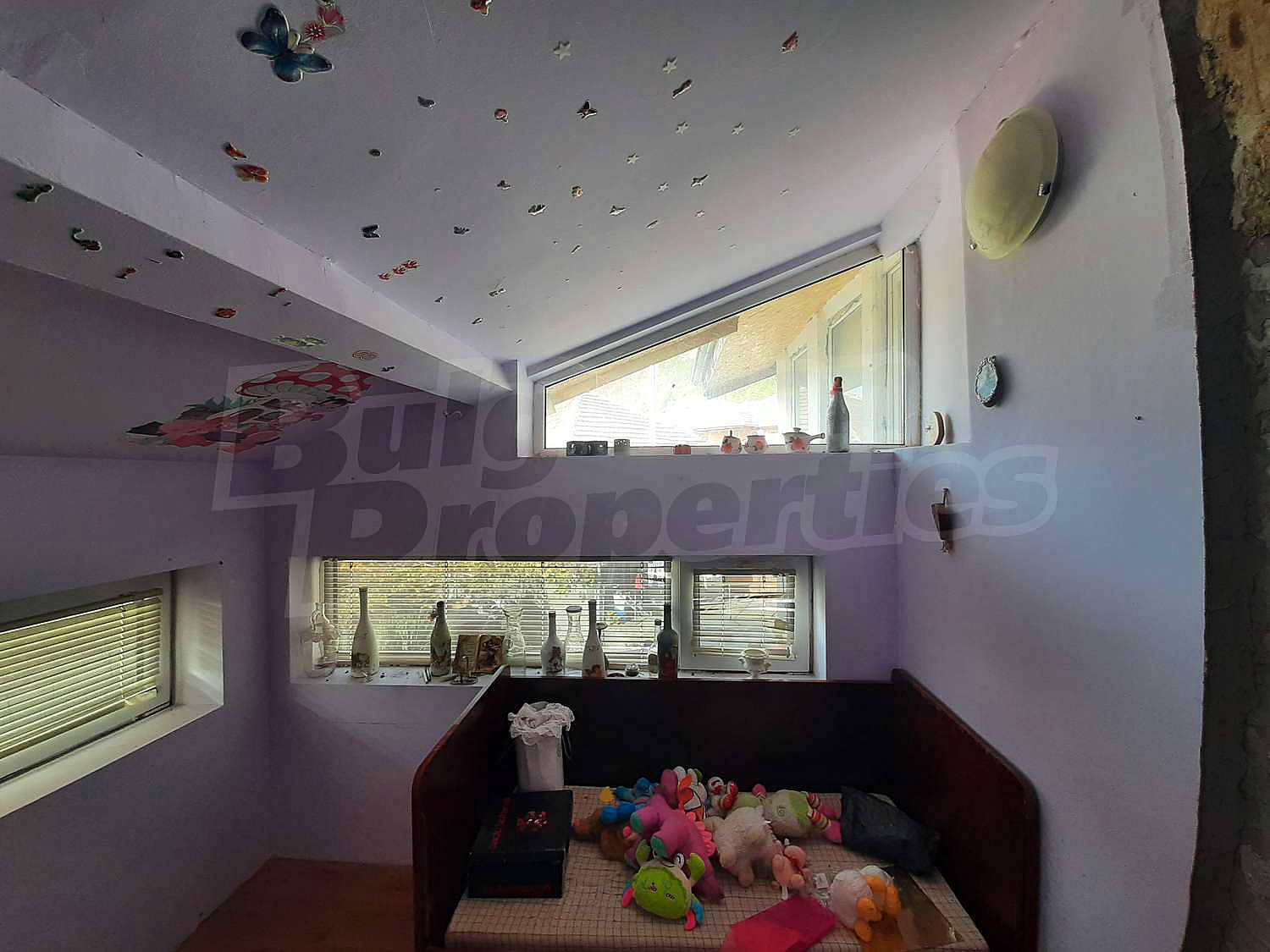 Gallery Picture 17