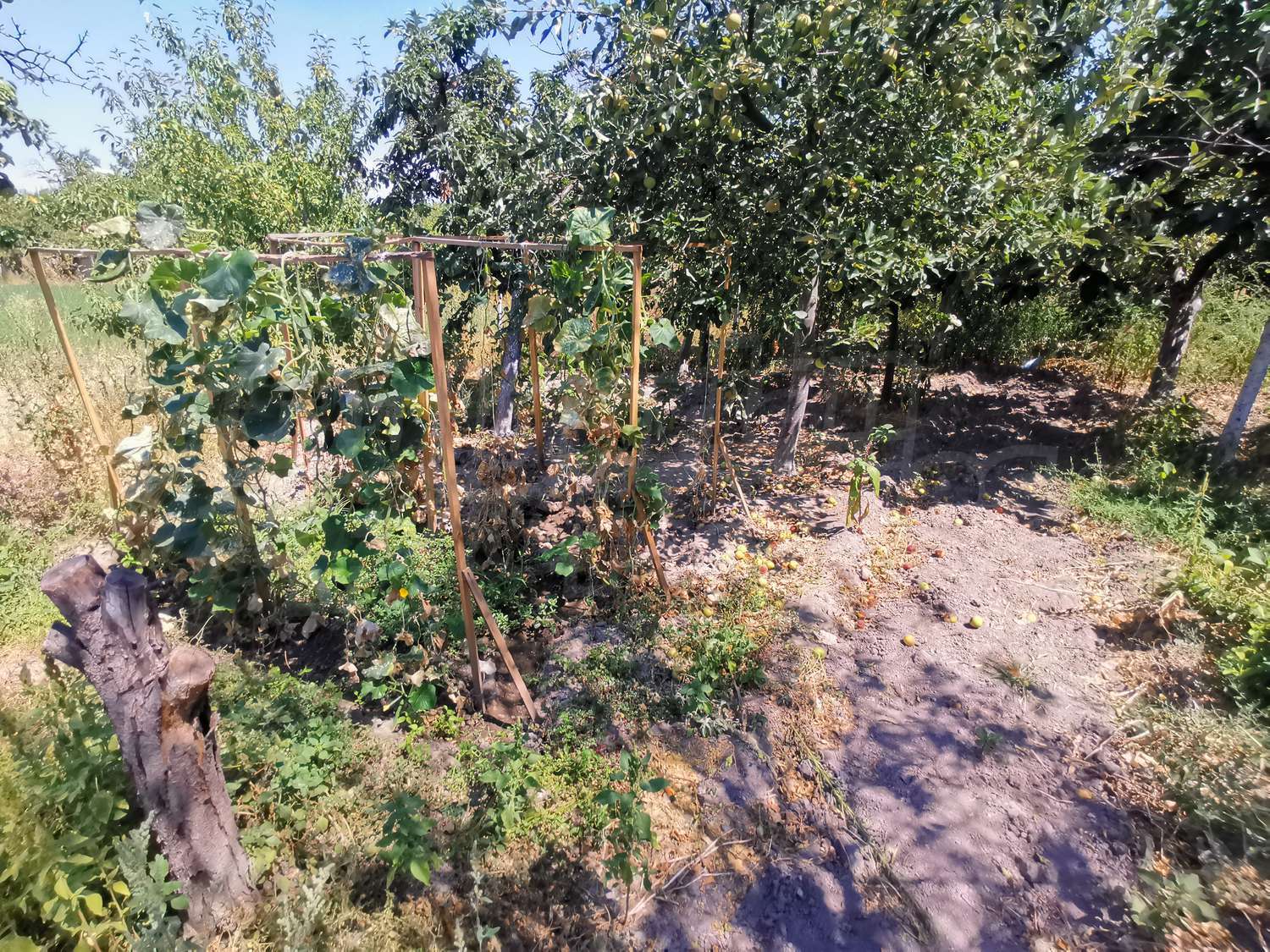 Gallery Picture 16