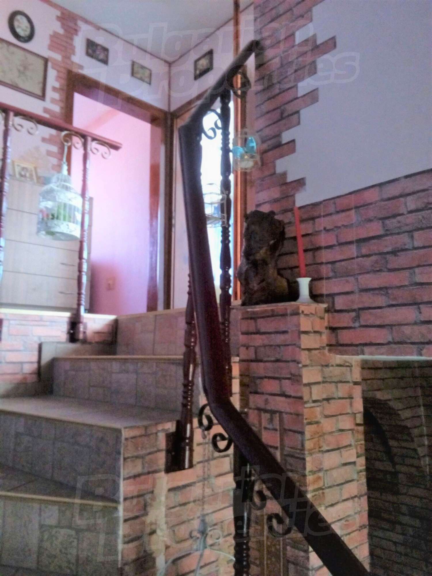 Gallery Picture 11