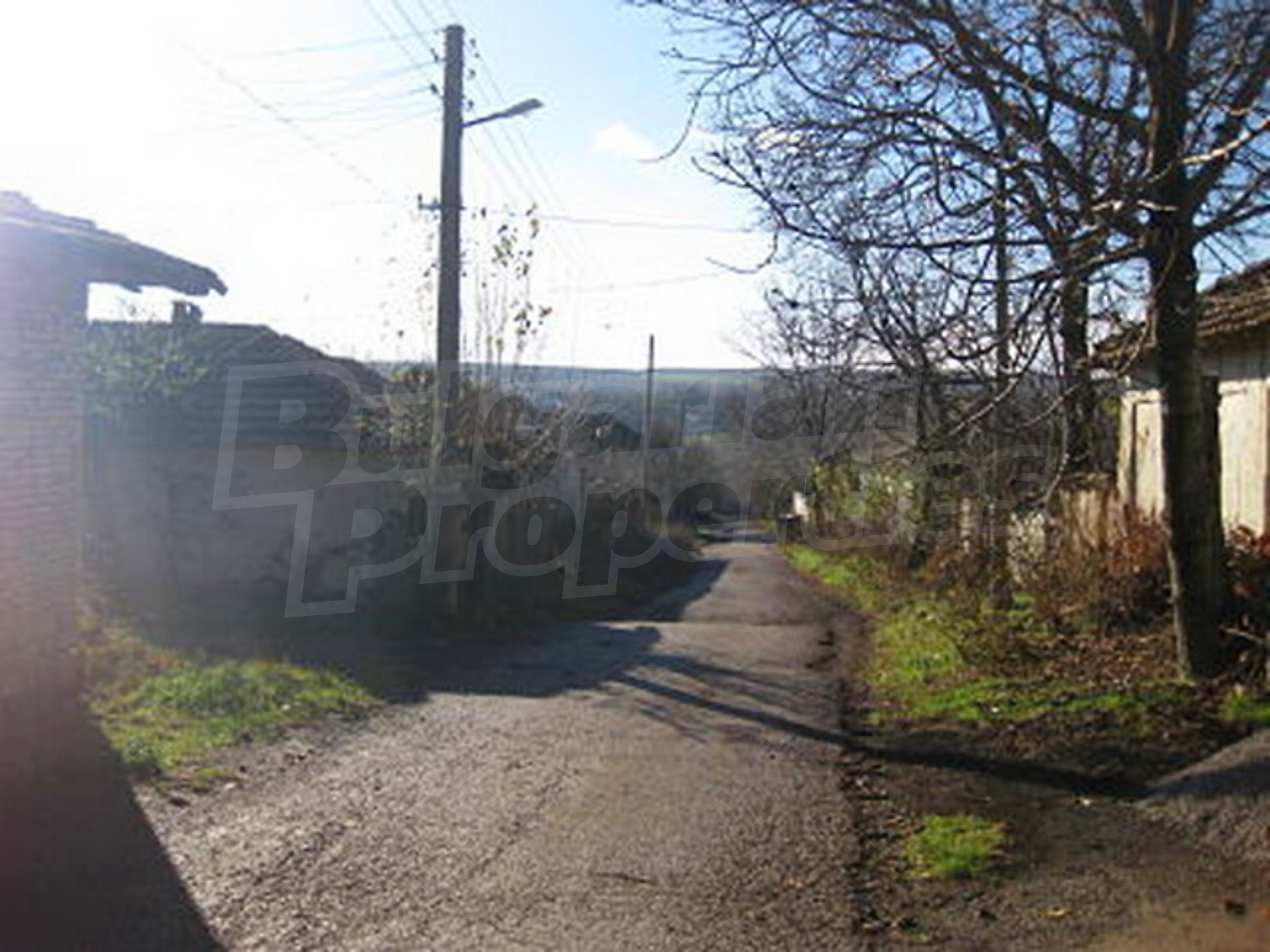 Gallery Picture 11