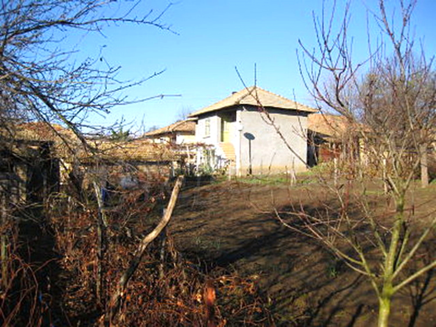 Gallery Picture 19