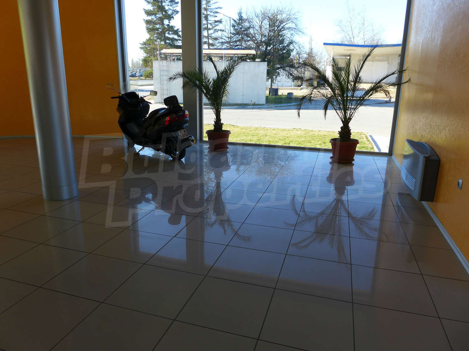Gallery Picture 15