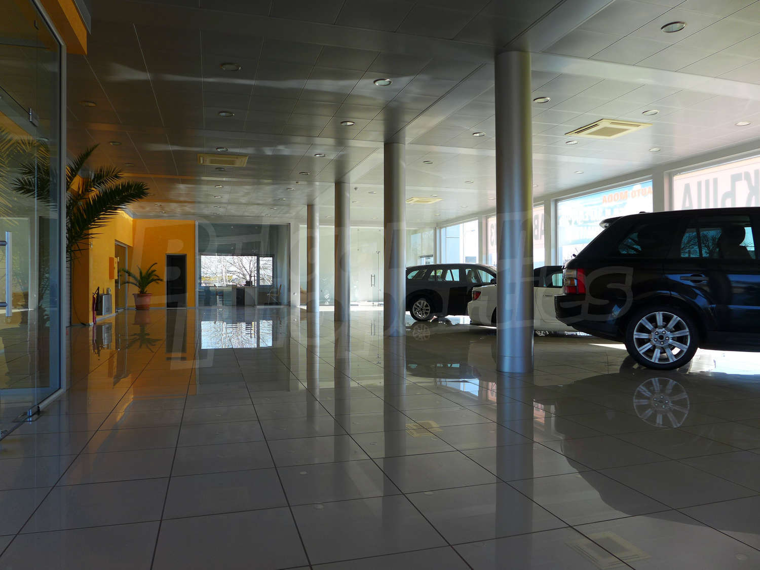 Gallery Picture 16