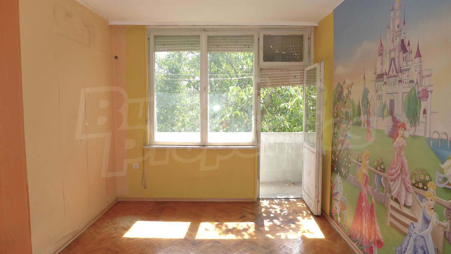Gallery Picture 11