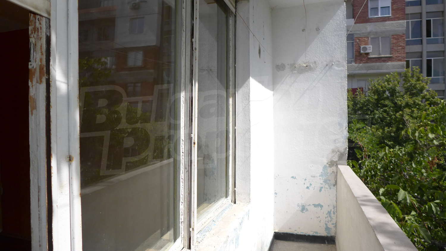 Gallery Picture 14