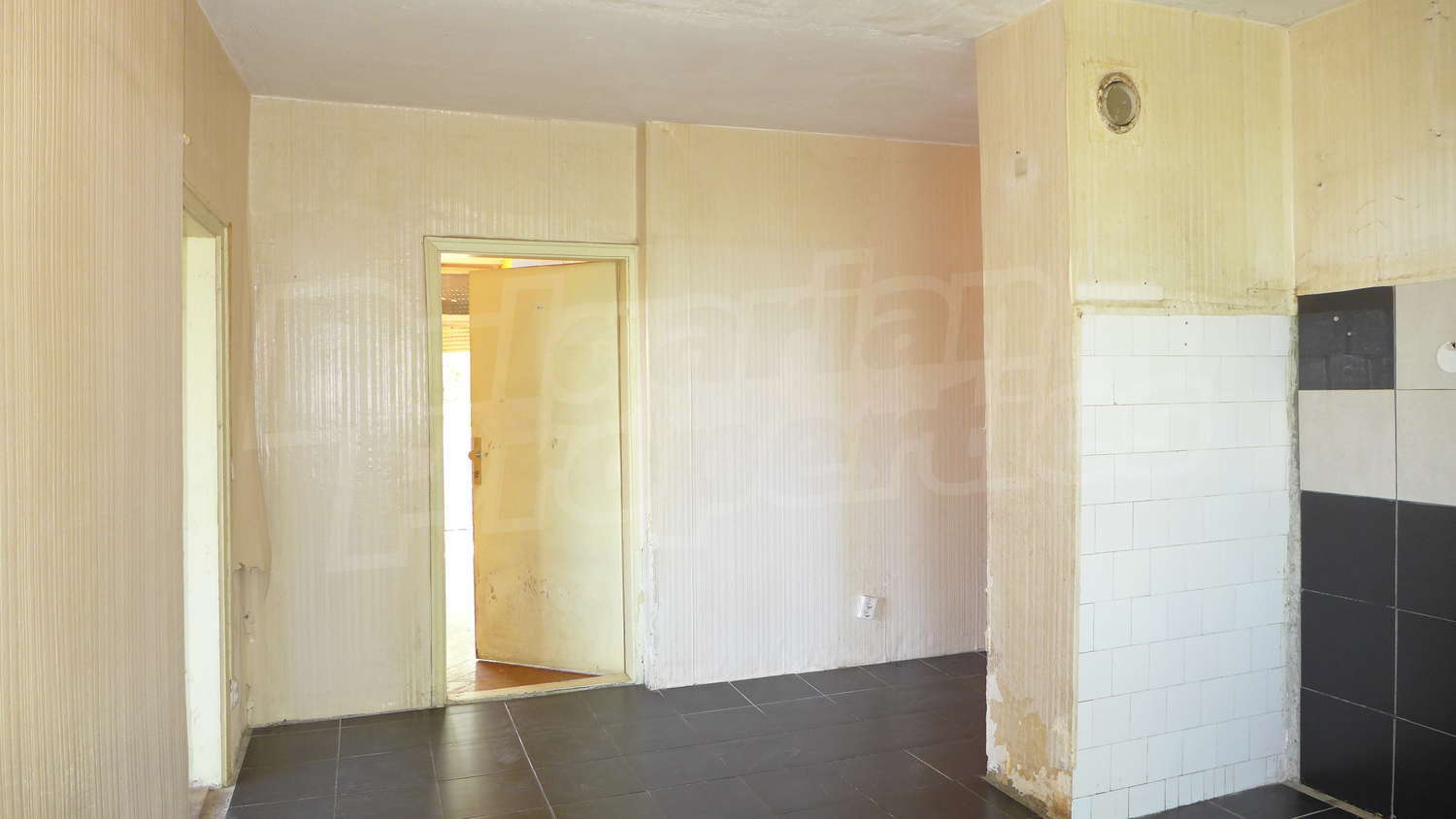 Gallery Picture 16