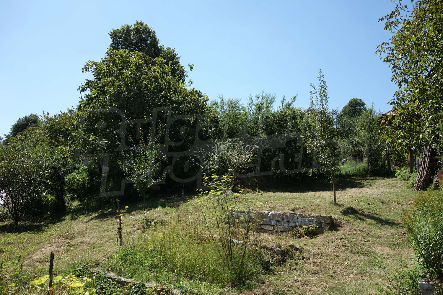 Gallery Picture 19