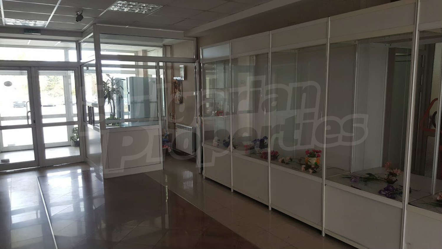 Gallery Picture 6